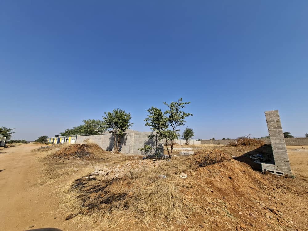 Low Density Stand — For Sale — image 4