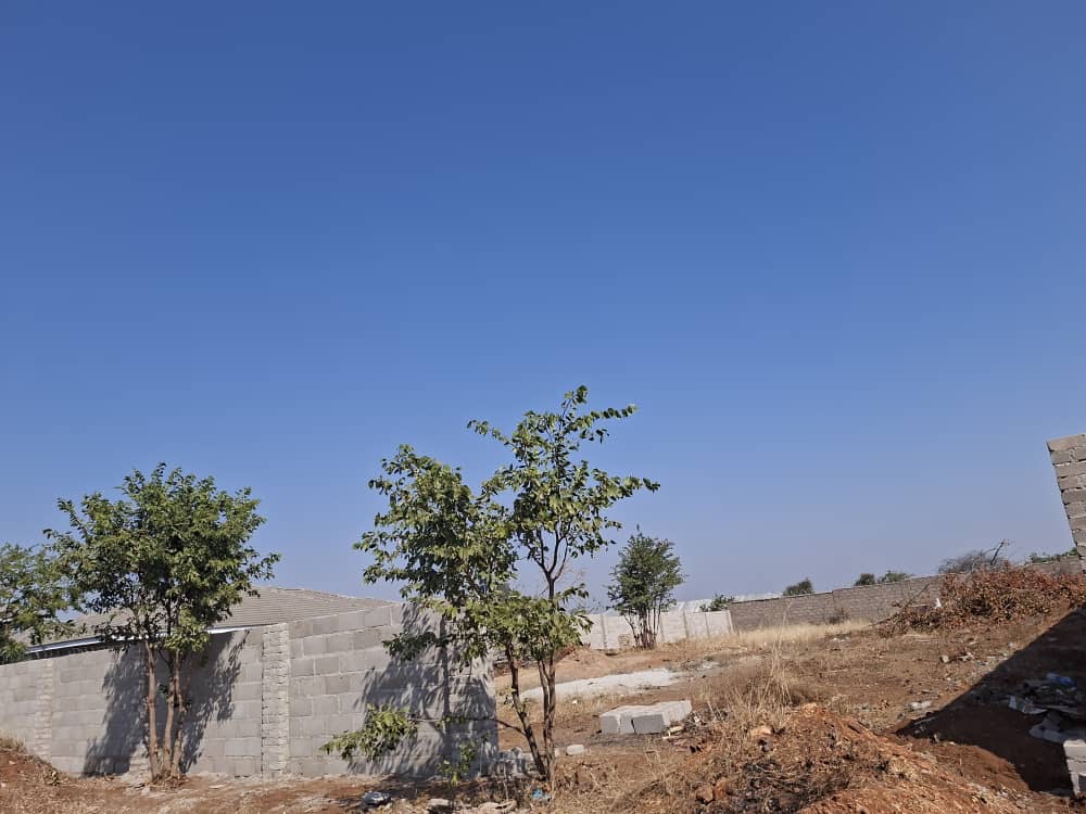 Low Density Stand — For Sale — image 2
